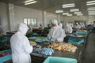 永泰縣水產(chǎn)生產(chǎn)主體調(diào)查摸底工作順利開展，助力市場(chǎng)精準(zhǔn)調(diào)研